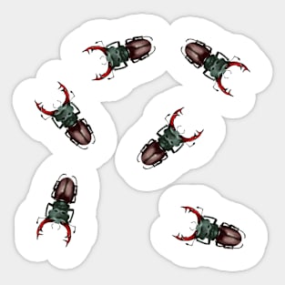 Stag beetles Sticker